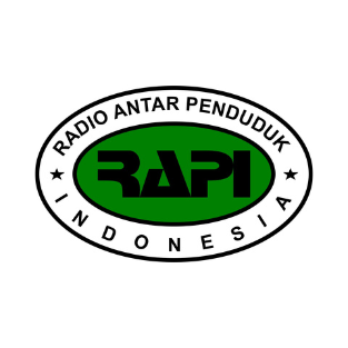 Logo RAPI